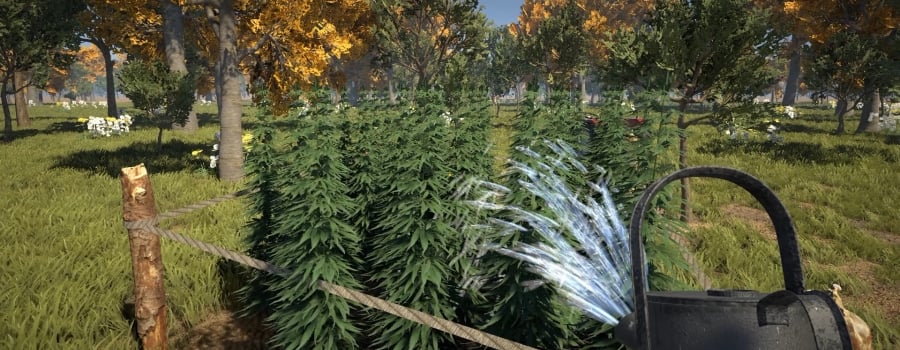 Weed Farmer Simulator News And Videos TrueSteamAchievements